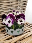 Preview: Blumengruß Vase Geschenk Zink